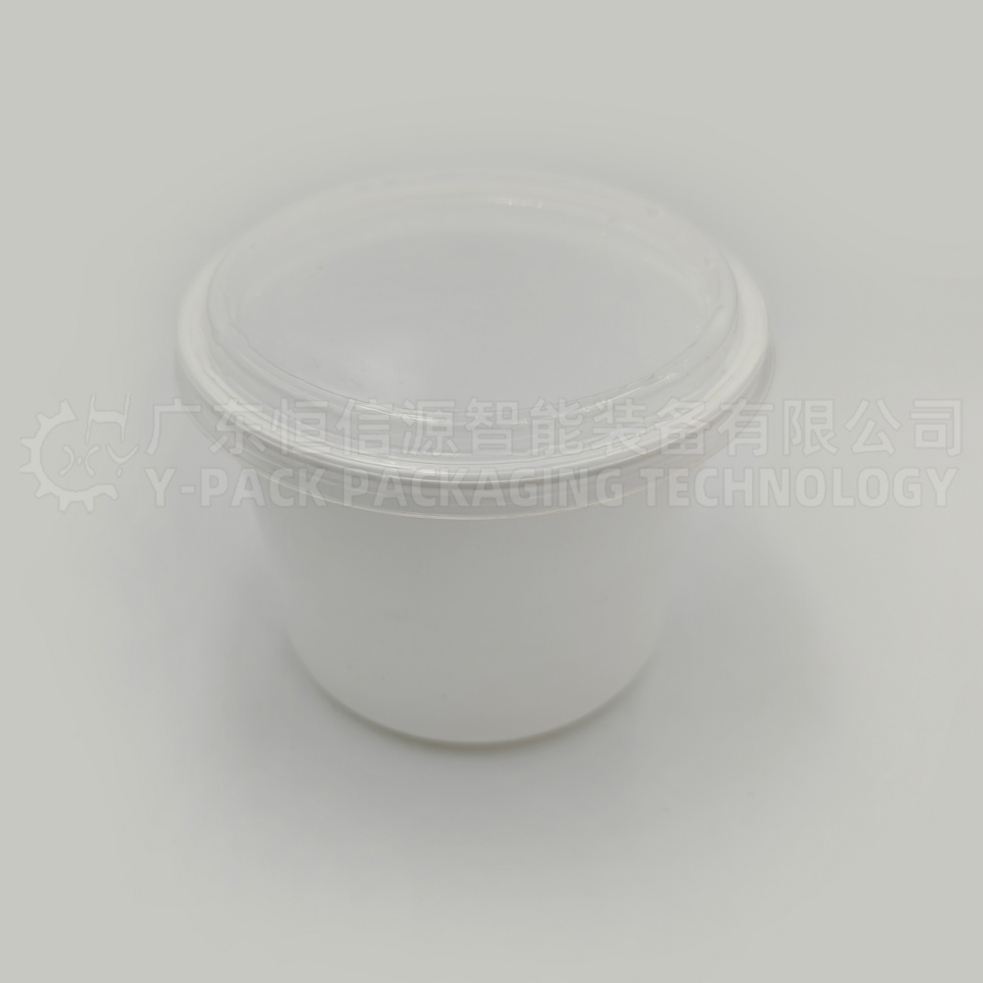 裹包式雪糕装箱机