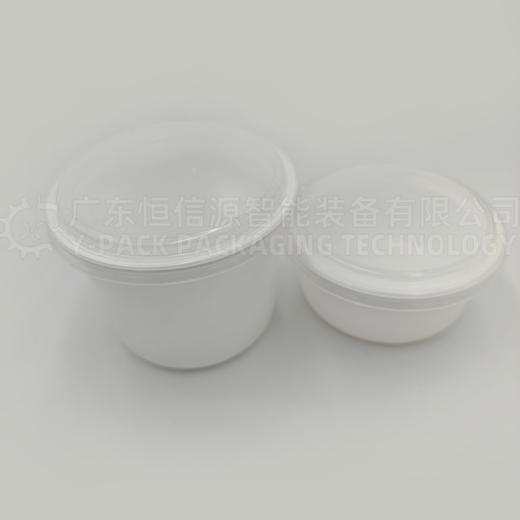 裹包式雪糕装箱机